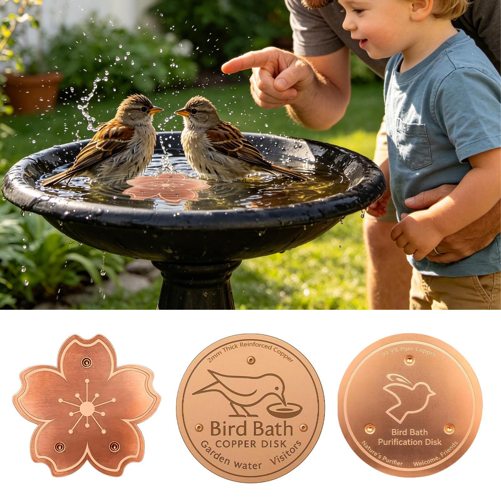 Copper For Bird Bath Safe Puri - Watches Original ulasan dan harga